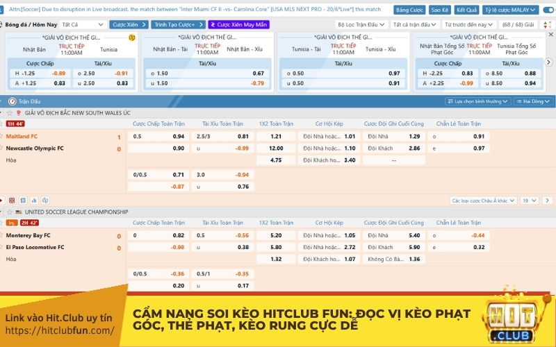 Cẩm nang soi kèo Mi Sói: Đọc vị kèo phạt góc, thẻ phạt, kèo rung cực dễ